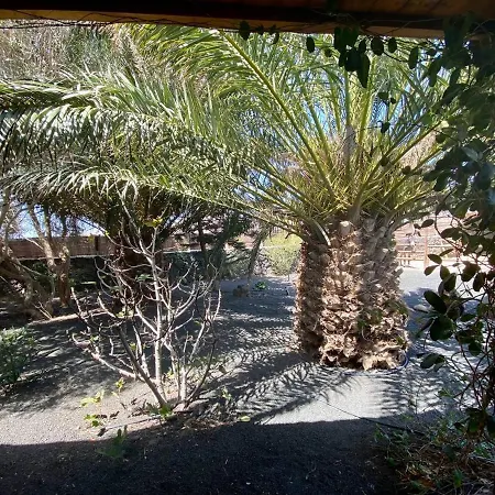 Cabanalanz, En Lanzarote Kemping San Bartolomé