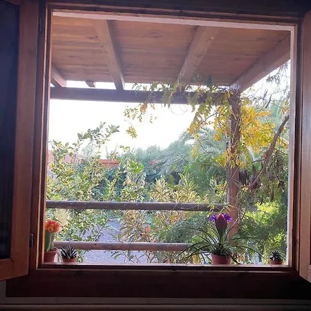 Cabanalanz, En Lanzarote