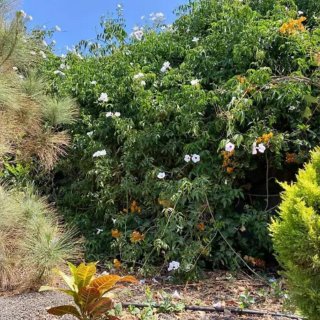 مكان تخييم Cabanalanz, En Lanzarote