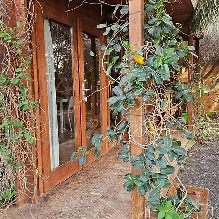 مكان تخييم Cabanalanz, En Lanzarote San Bartolomé