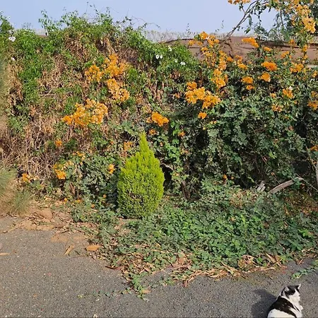Cabanalanz, En Lanzarote San Bartolomé