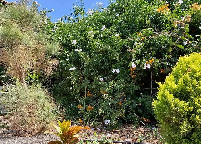 Κάμπινγκ Cabanalanz, En Lanzarote