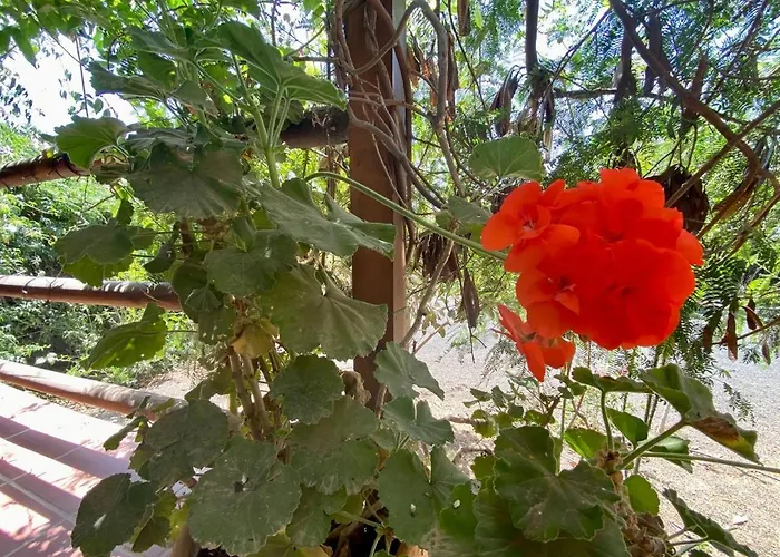 Cabanalanz, En Lanzarote *